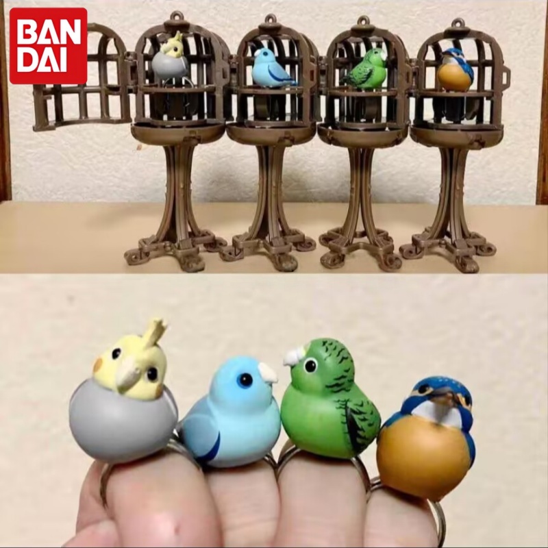 Bird Cage Parrot - لعبة غاشابون بانداي على شكل طائر