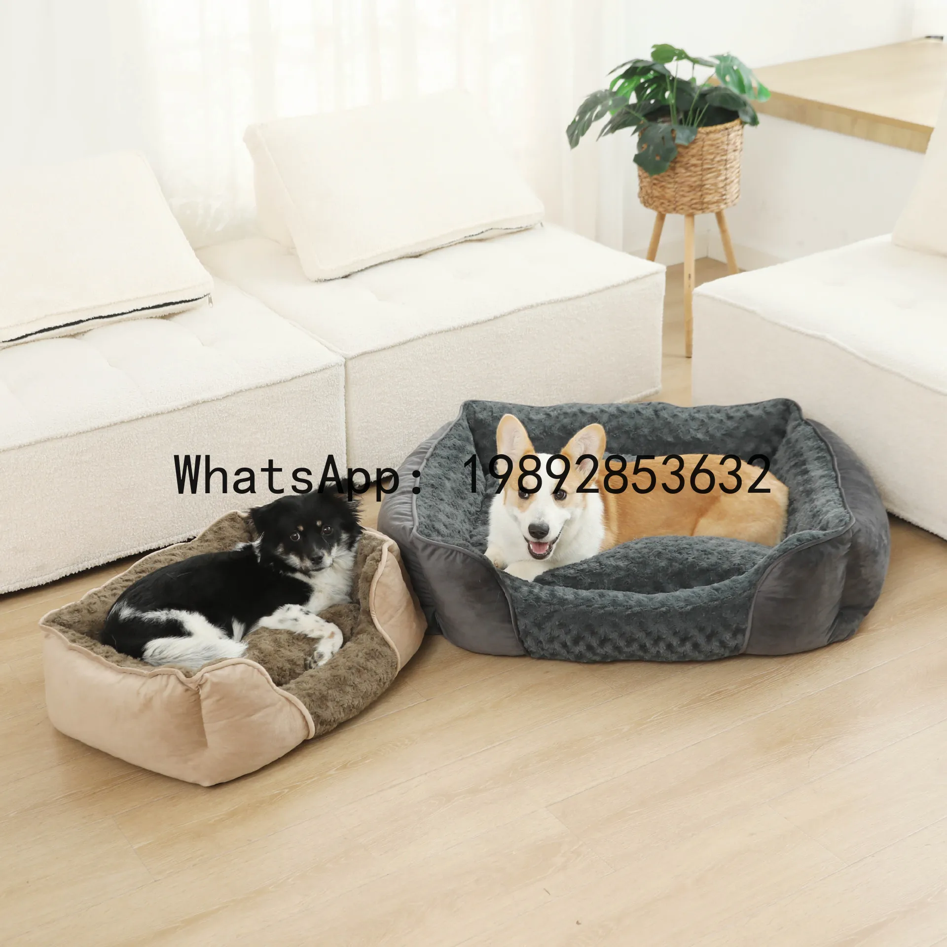 Pet X Supplies & Tack Photos - بيت للقطط شبه مغلق، حظيرة للكلاب