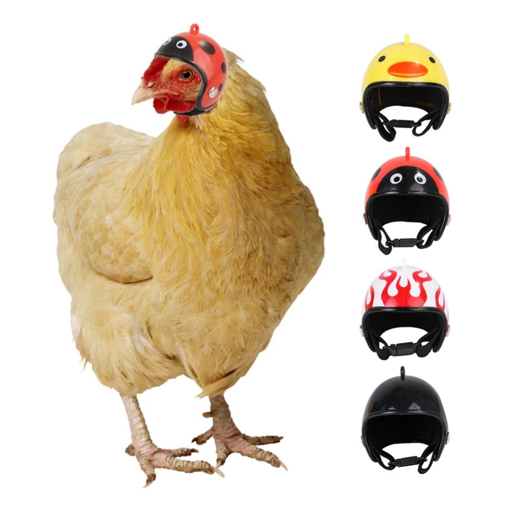 Pet X Supplies & Tack Photos - لوازم الحيوانات الأليفة من ABS، غطاء