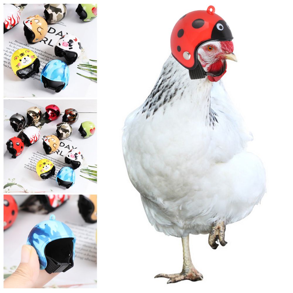 Pet X Supplies & Tack Photos - لوازم حيوانات أليفة مضحكة من مادة
