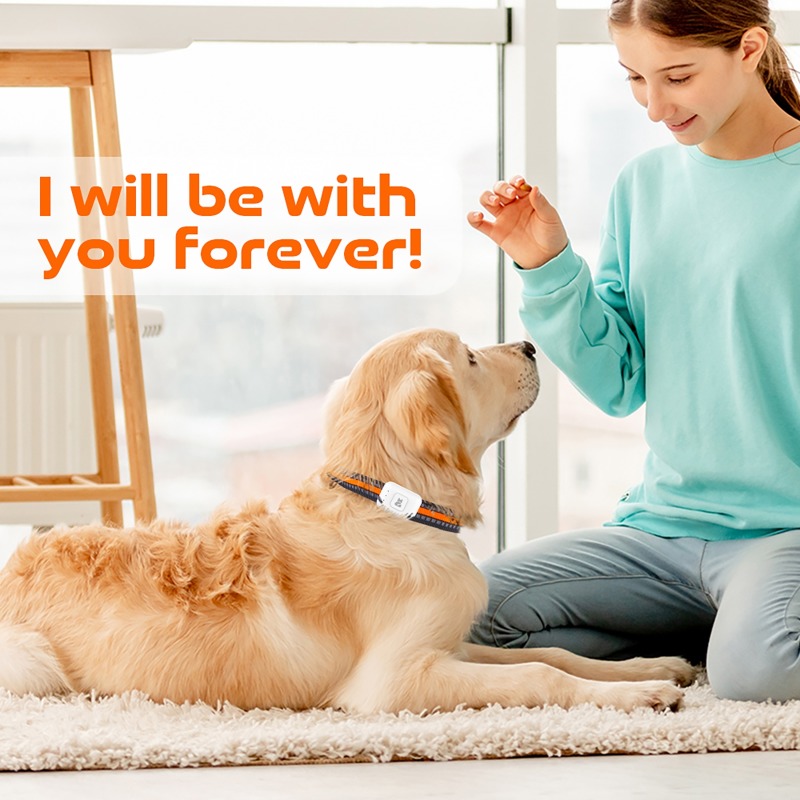 جهاز تتبع نظام تحديد المواقع A - مراجعة Pet Supplies Discount وسعره