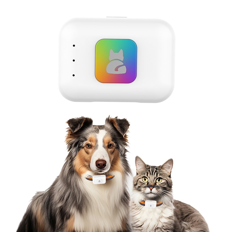 جهاز تتبع نظام تحديد المواقع A - مراجعة Pet Supplies Discount وسعره