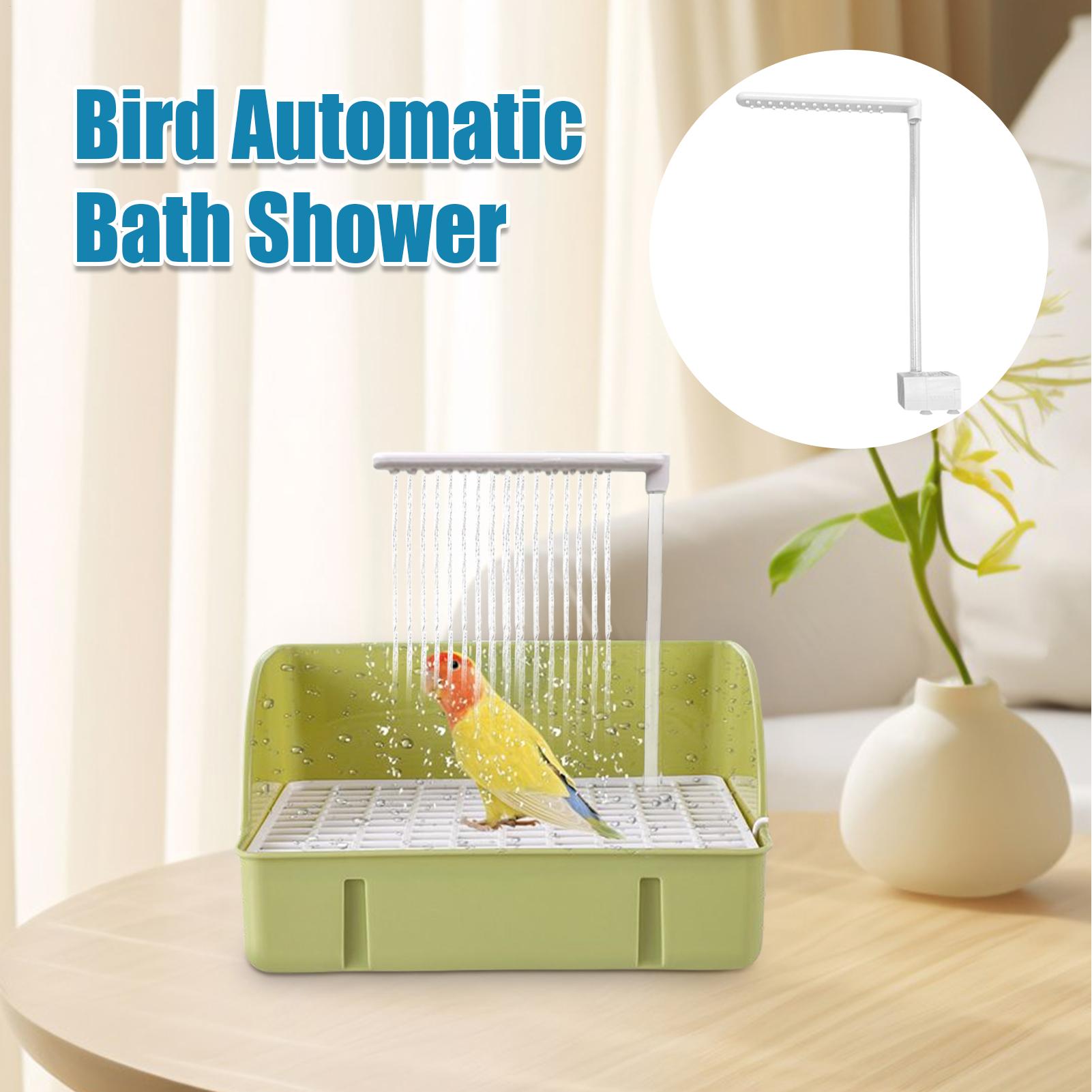 قفص دش الببغاء نافورة حمام الط - مراجعة Bird Cage Parrot وسعره