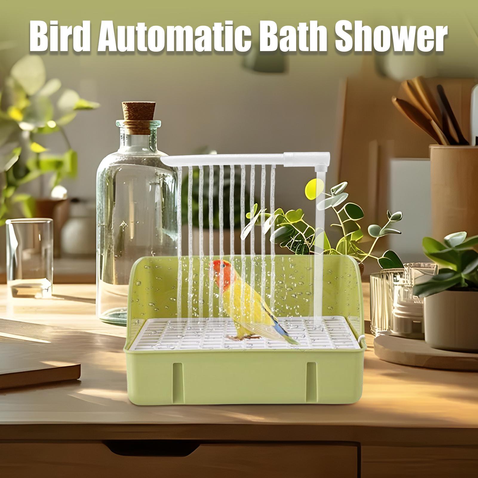 قفص دش الببغاء نافورة حمام الط - مراجعة Bird Cage Parrot وسعره