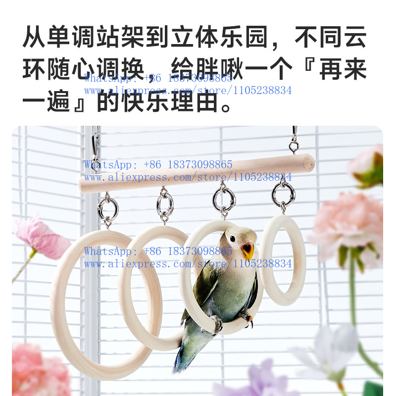 لعبة ببغاء: حلقة أرجوحة، عمود  - مراجعة Bird Cage Parrot وسعره