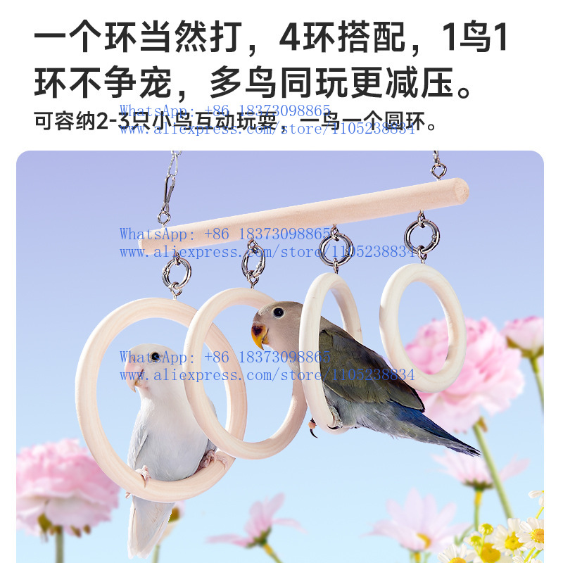 لعبة ببغاء: حلقة أرجوحة، عمود  - مراجعة Bird Cage Parrot وسعره