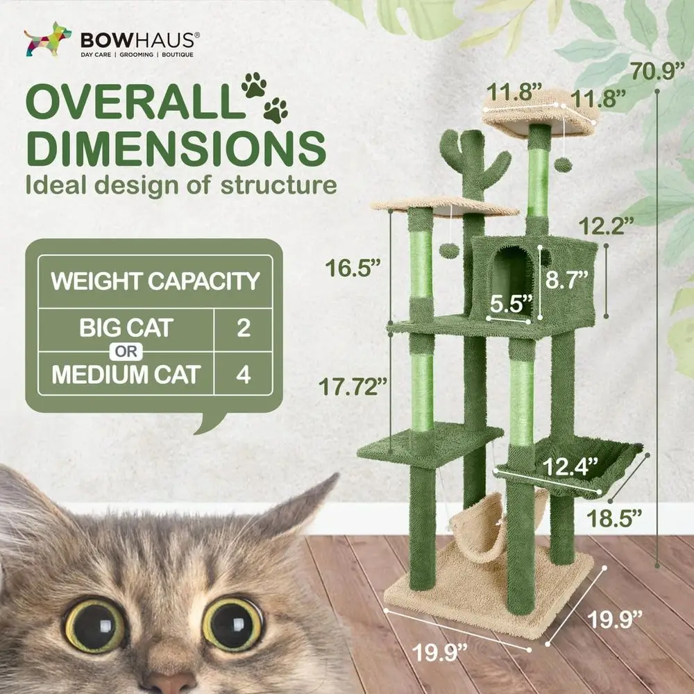 شجرة قطط متعددة المستويات بطول - مراجعة Cat Scratching Post وسعره
