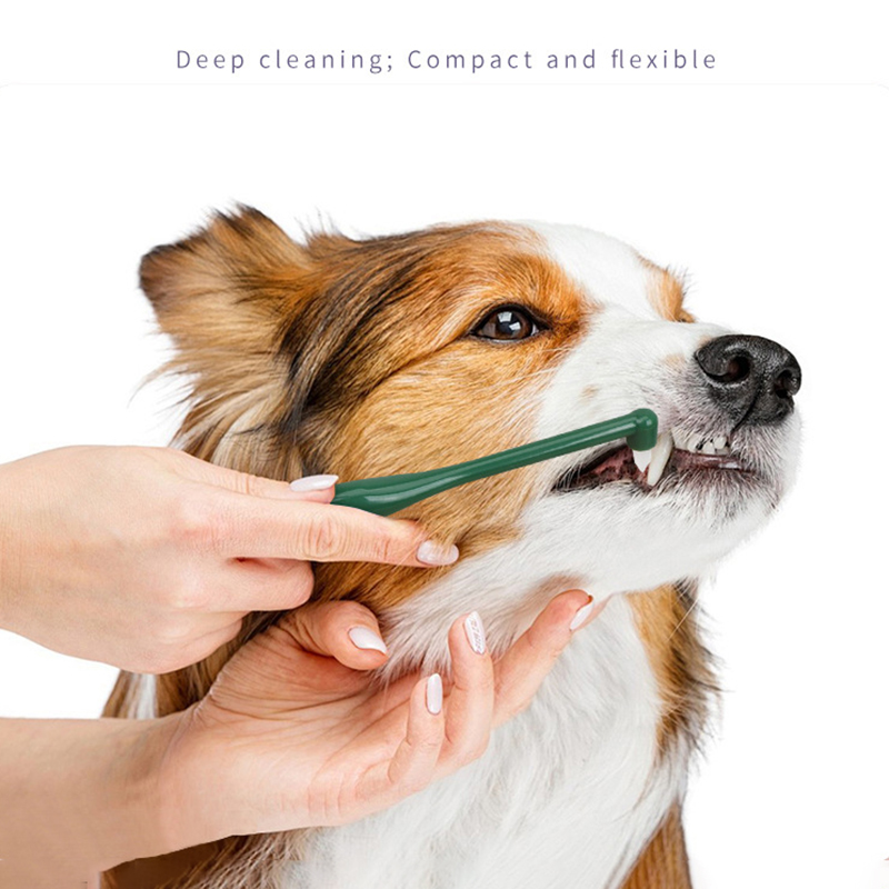 مايكرو رئيس الكلب القط فرشاة ا - مراجعة Pet Supplies Hours وسعره