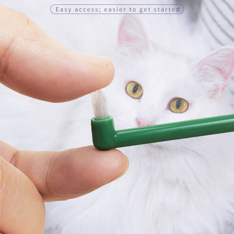 مايكرو رئيس الكلب القط فرشاة ا - مراجعة Pet Supplies Hours وسعره