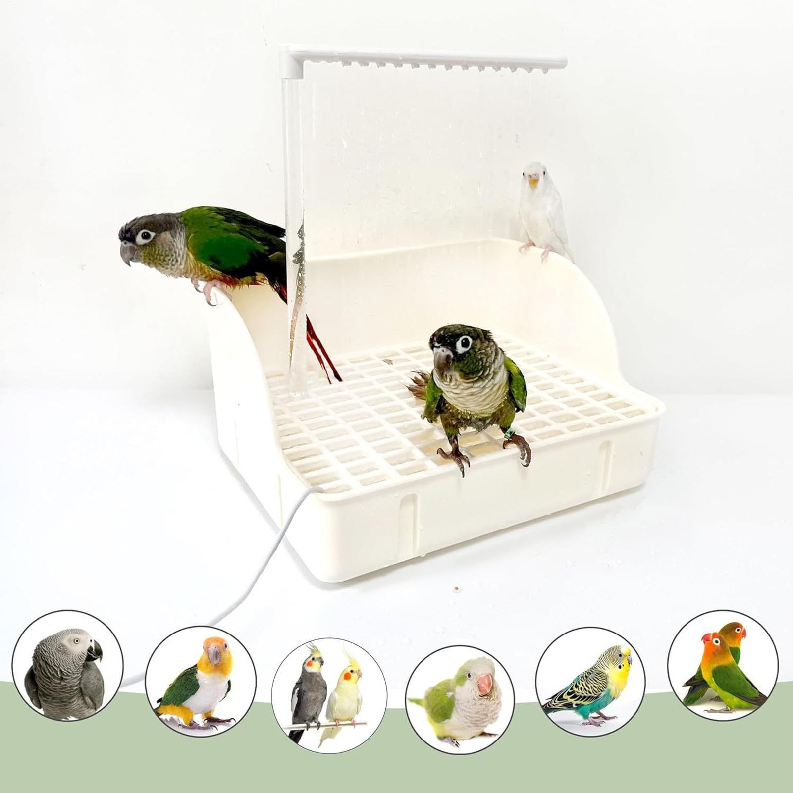 حوض استحمام الطيور الأوتوماتيك - مراجعة Bird Cage Parrot وسعره