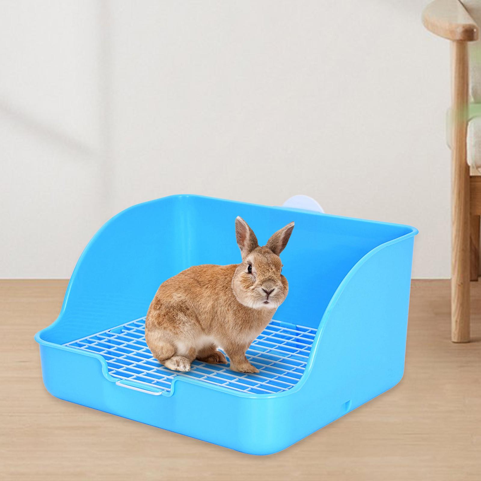 مستطيل أرنب الحيوانات الأليفة  - مراجعة Pet Supplies Outlet وسعره
