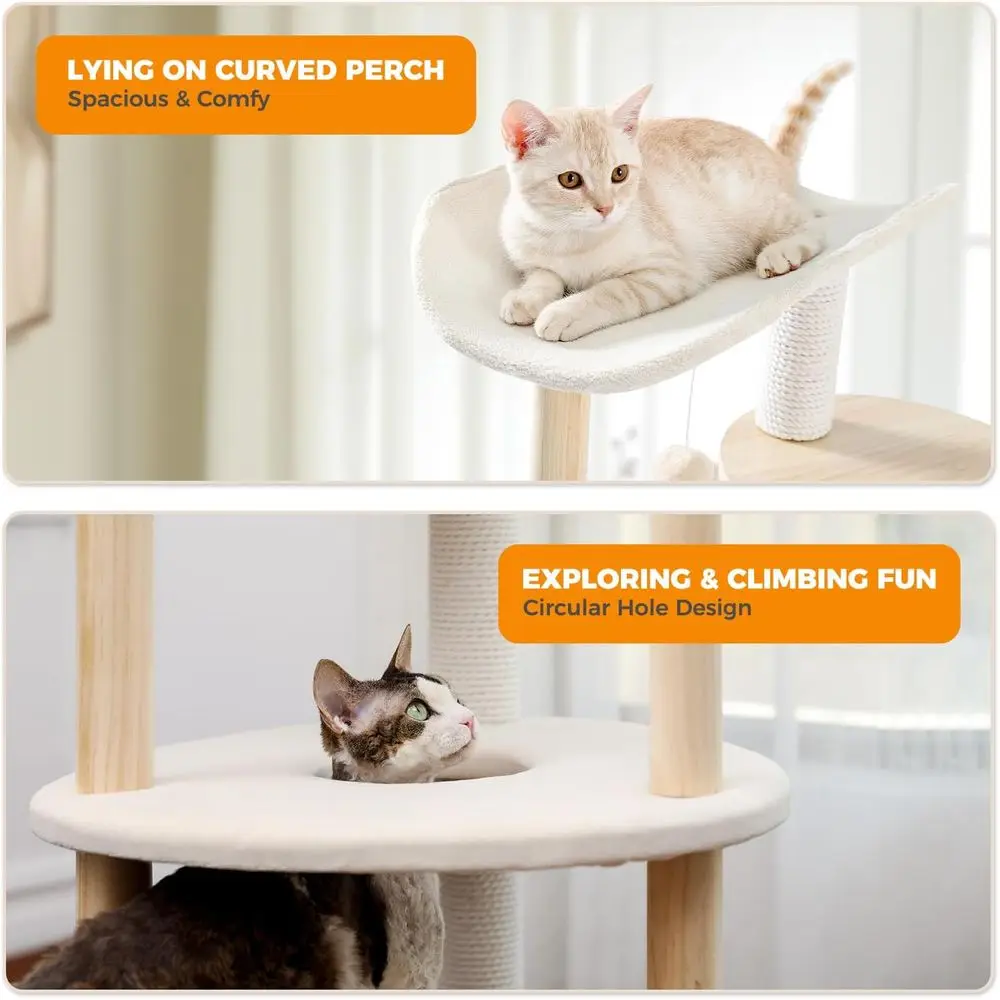 برج قطط داخلي بيج بخمسة مستويا - مراجعة Cat Scratching Post وسعره
