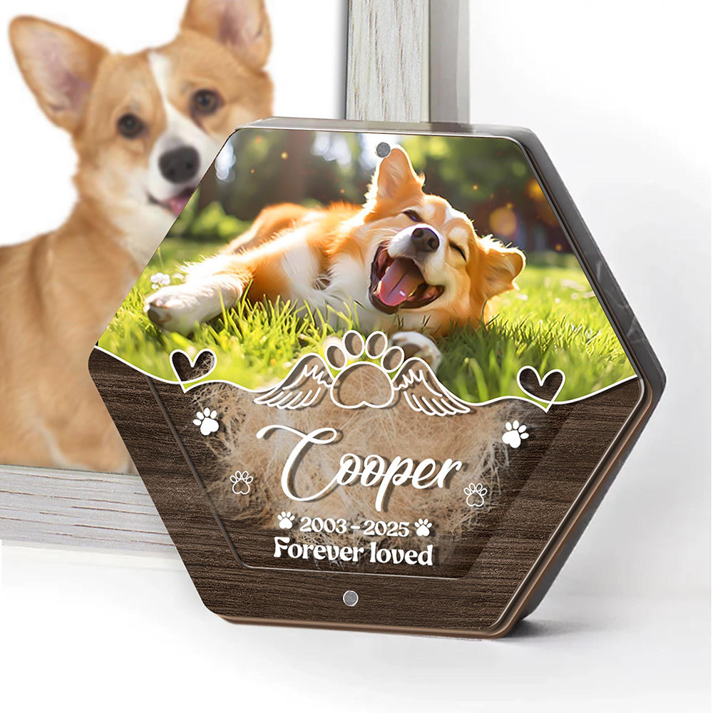 اسم شخصي خشبي نحت صندوق تخزين  - مراجعة Pet Supplies Discount وسعره