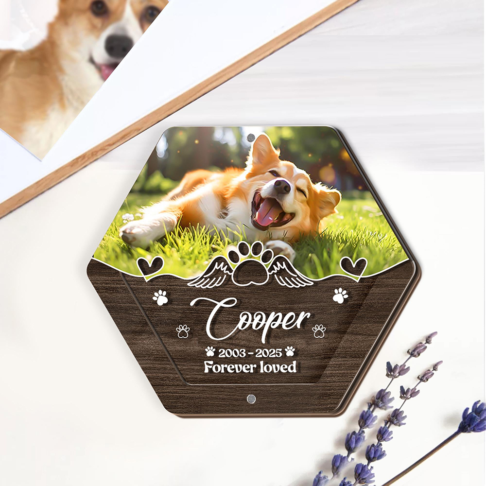 اسم شخصي خشبي نحت صندوق تخزين  - مراجعة Pet Supplies Discount وسعره