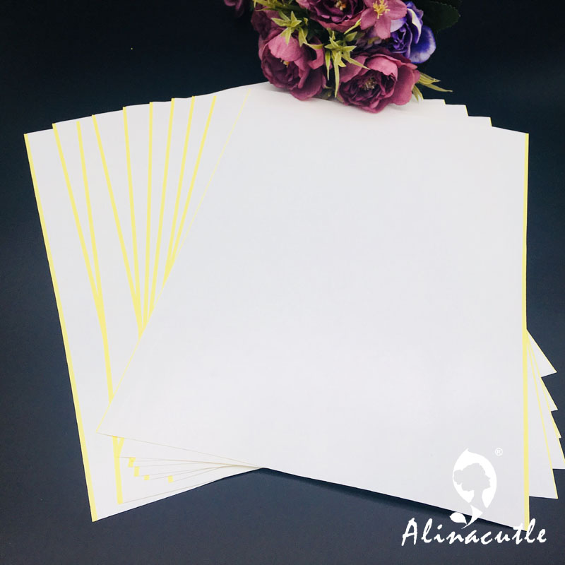 10 قطعة X A4 شريط مزدوج الجوان - مراجعة Pet X Supplies & Tack Photos وسعره