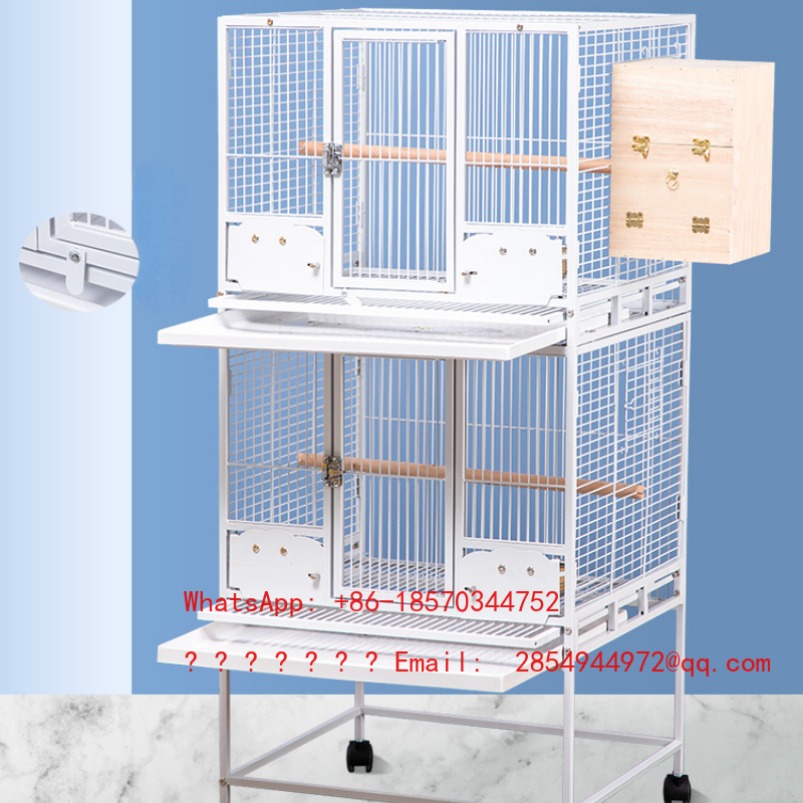 2026 قفص طيور كبير للحمام، مغذ - مراجعة Bird Cage Parrot وسعره