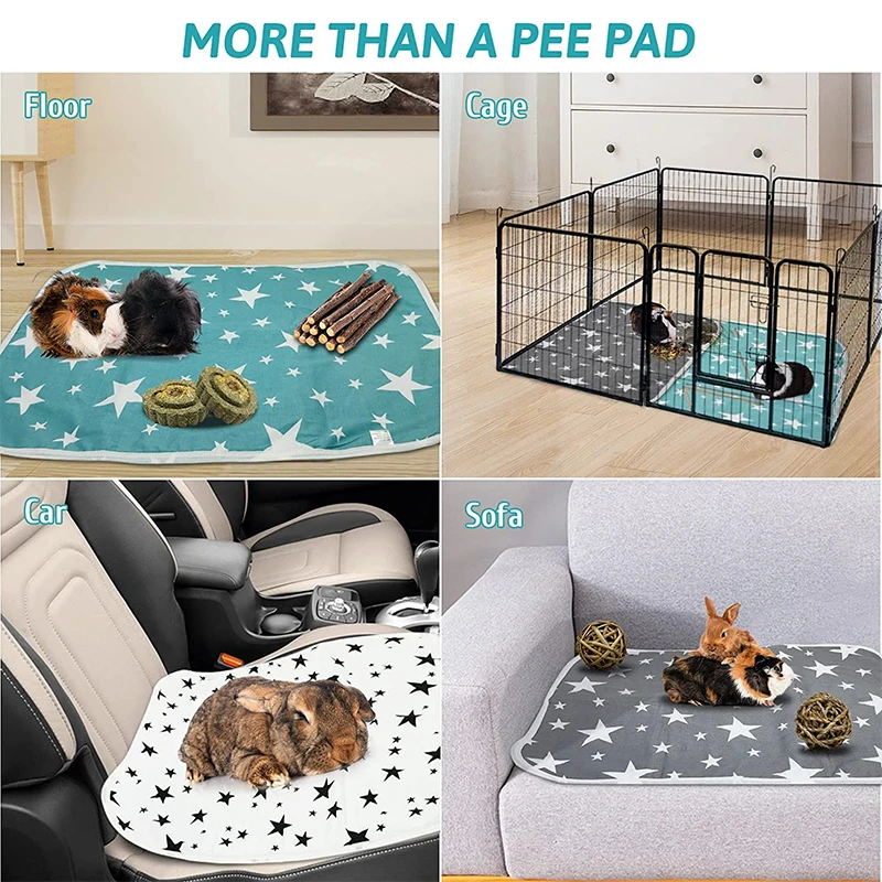 الحيوانات الأليفة الهامستر قاب - مراجعة Pet Supplies Outlet وسعره