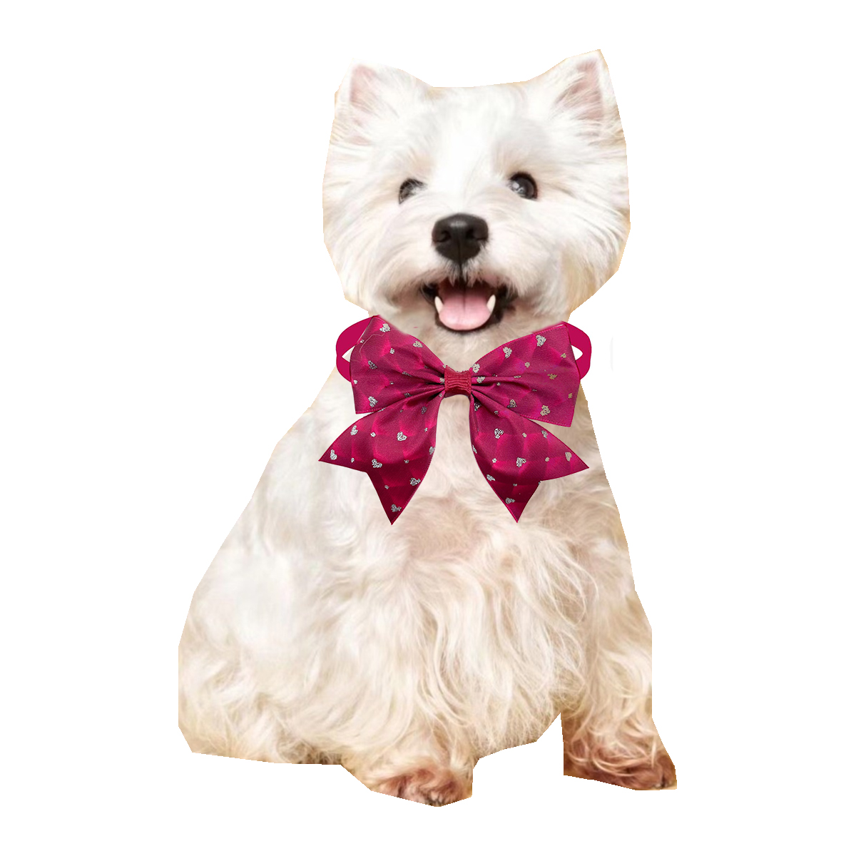 50/100 قطعة ربطة عنق على شكل ك - مراجعة Pet Supplies Hours وسعره
