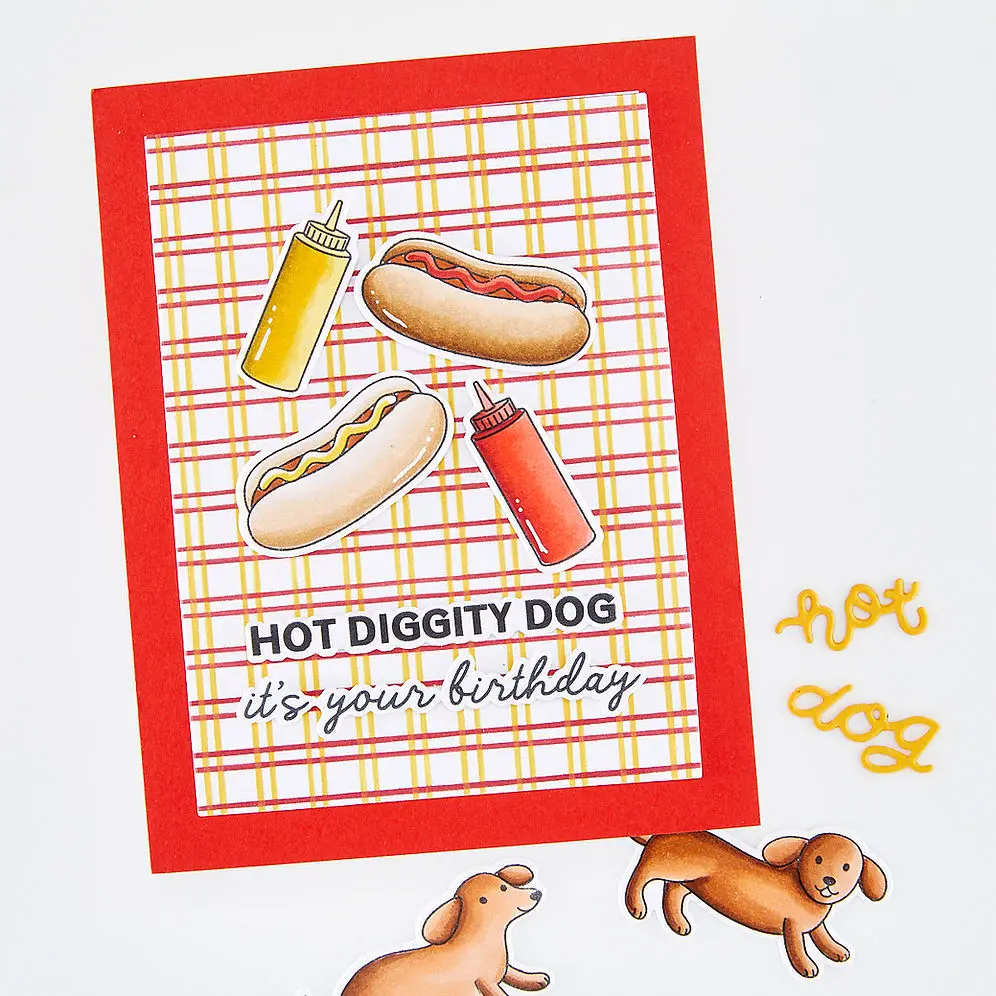 قوالب قطع معدنية بتصميم Hot Di - مراجعة Dog Raincoat وسعره