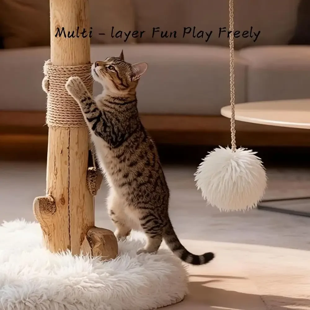 برج شجرة للقطط الداخلية بأغصان - مراجعة Cat Scratching Post وسعره