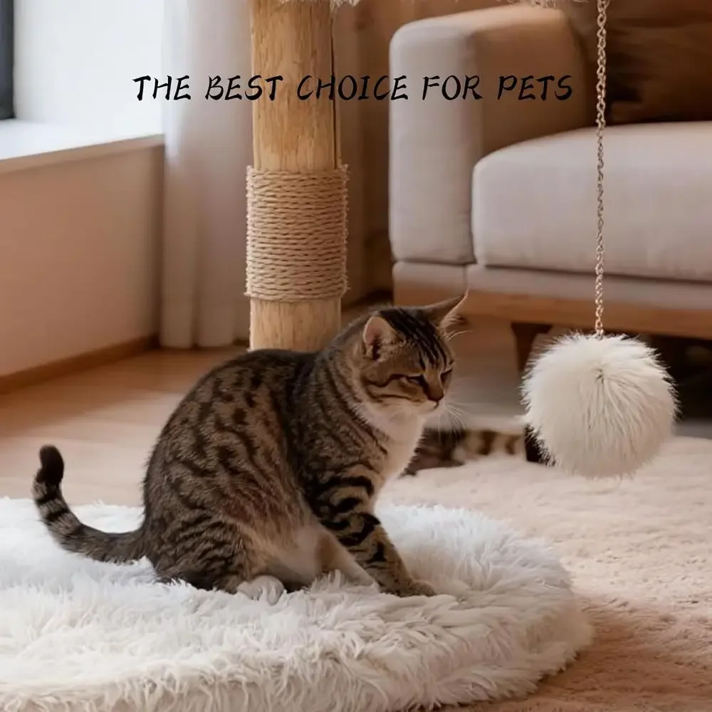 برج شجرة للقطط الداخلية بأغصان - مراجعة Cat Scratching Post وسعره