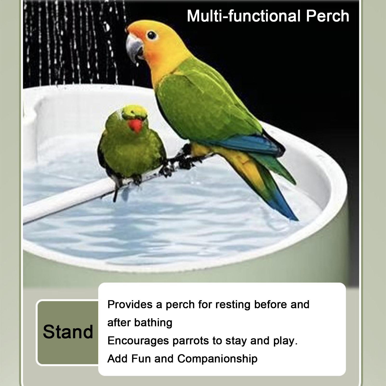 حوض استحمام أوتوماتيكي للطيور  - مراجعة Bird Cage Parrot وسعره