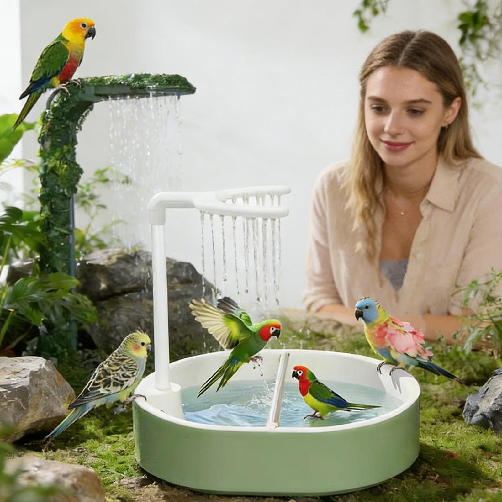 حوض استحمام أوتوماتيكي للطيور  - مراجعة Bird Cage Parrot وسعره