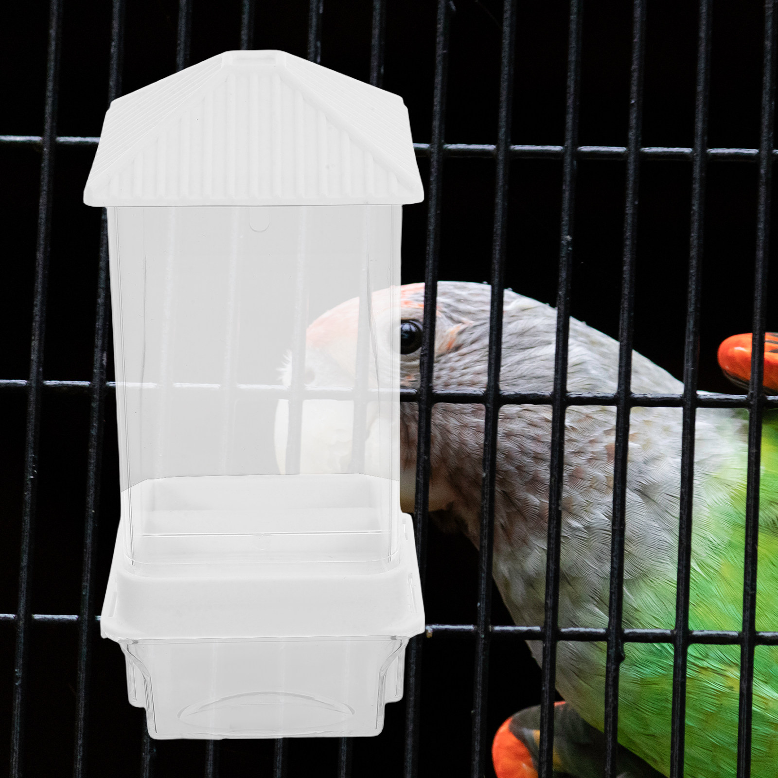 موزع طعام أوتوماتيكي للطيور من - مراجعة Bird Cage Parrot وسعره
