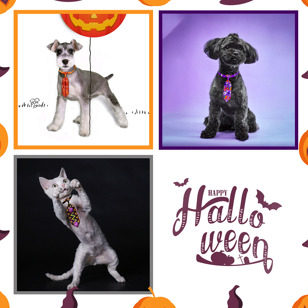 50/100 قطعة هالوين الكلب الاست - مراجعة Pet Supplies Hours وسعره