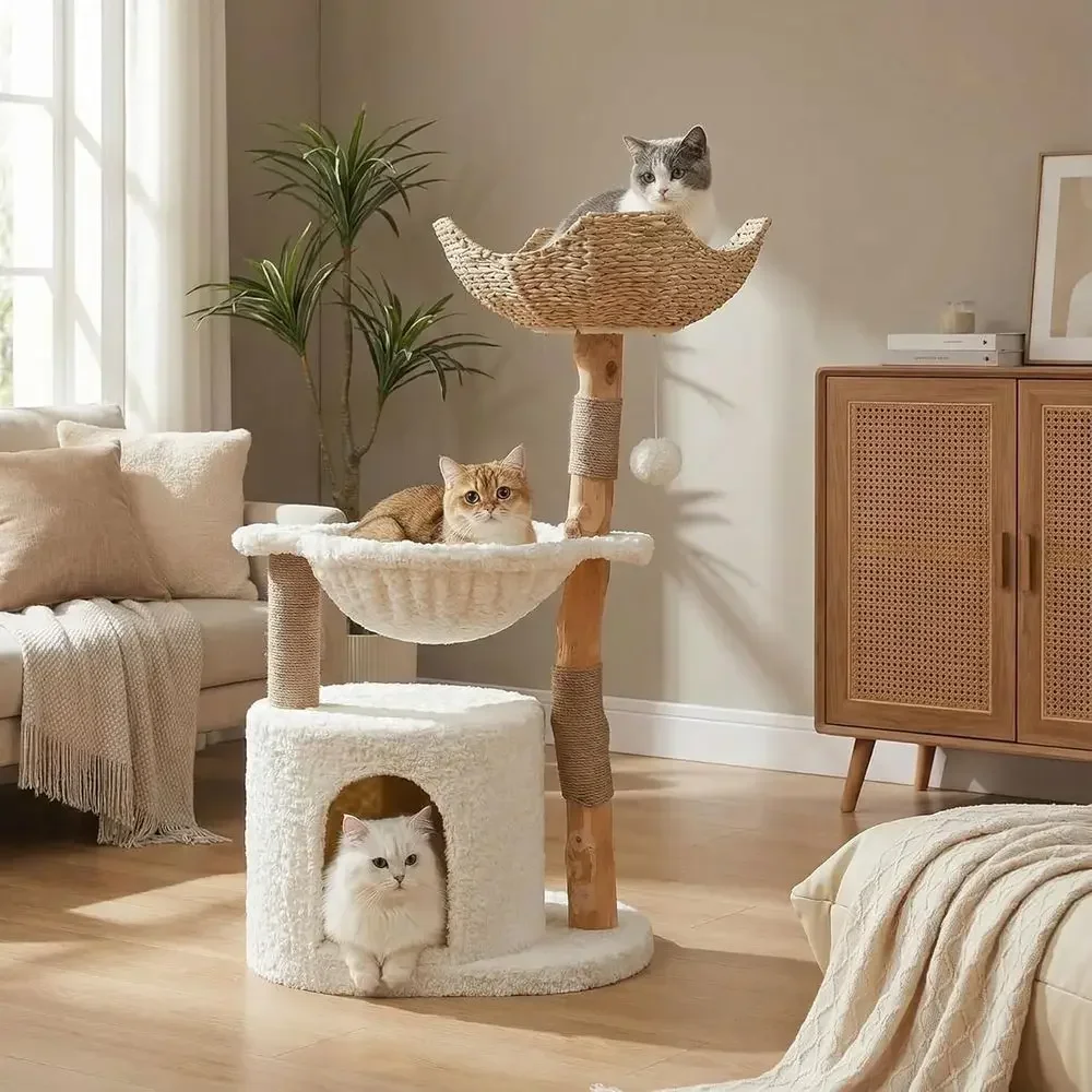 شجرة قطط كبيرة ومريحة مع فروع  - مراجعة Cat Scratching Post وسعره