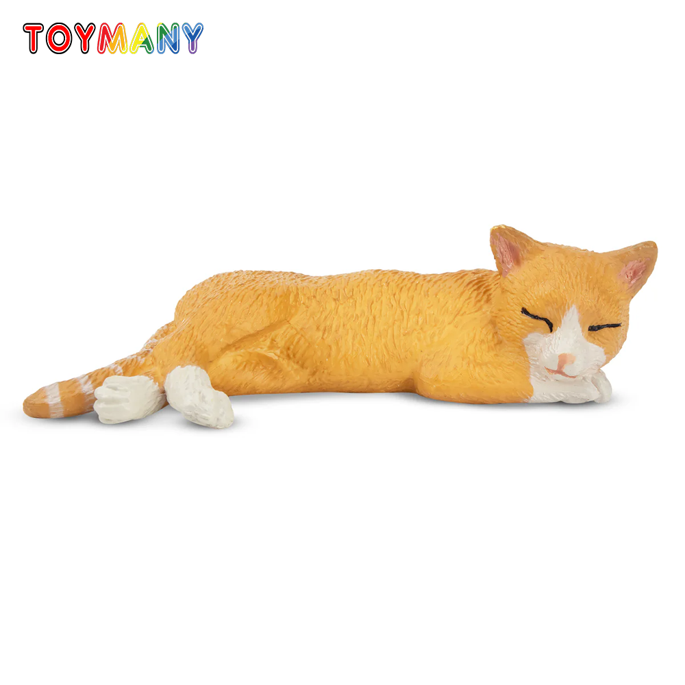 Toymany محاكاة الكذب البرتقال  - مراجعة Pet Supplies Delivery وسعره