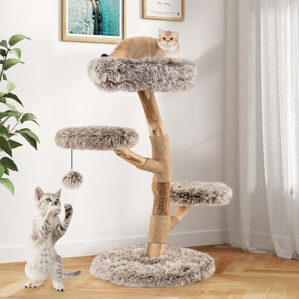 برج قطط خشبي متعدد المستويات م - مراجعة Cat Scratching Post وسعره
