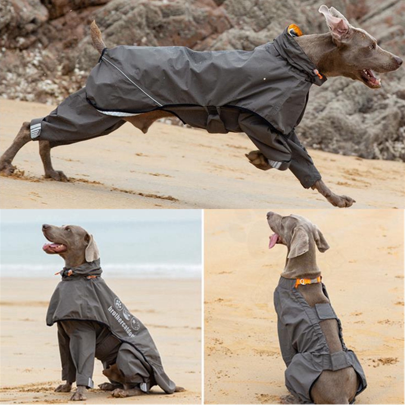 مقاوم للماء معطف واق من المطر  - مراجعة Dog Raincoat وسعره