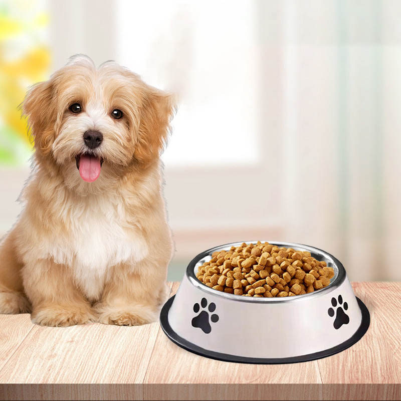 وعاء طعام للحيوانات الأليفة من - مراجعة Pet Supplies Hours وسعره