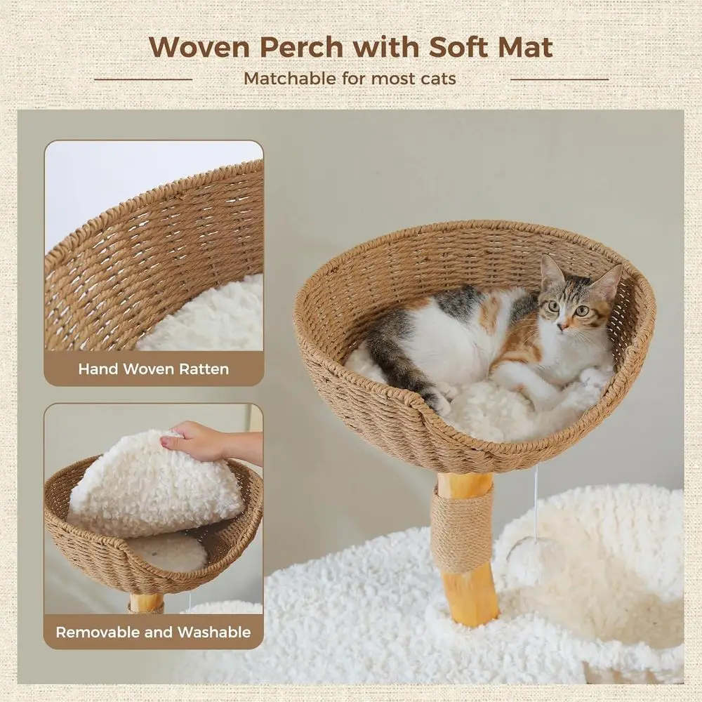 برج قطط خشبي صلب بارتفاع 48.5  - مراجعة Cat Scratching Post وسعره
