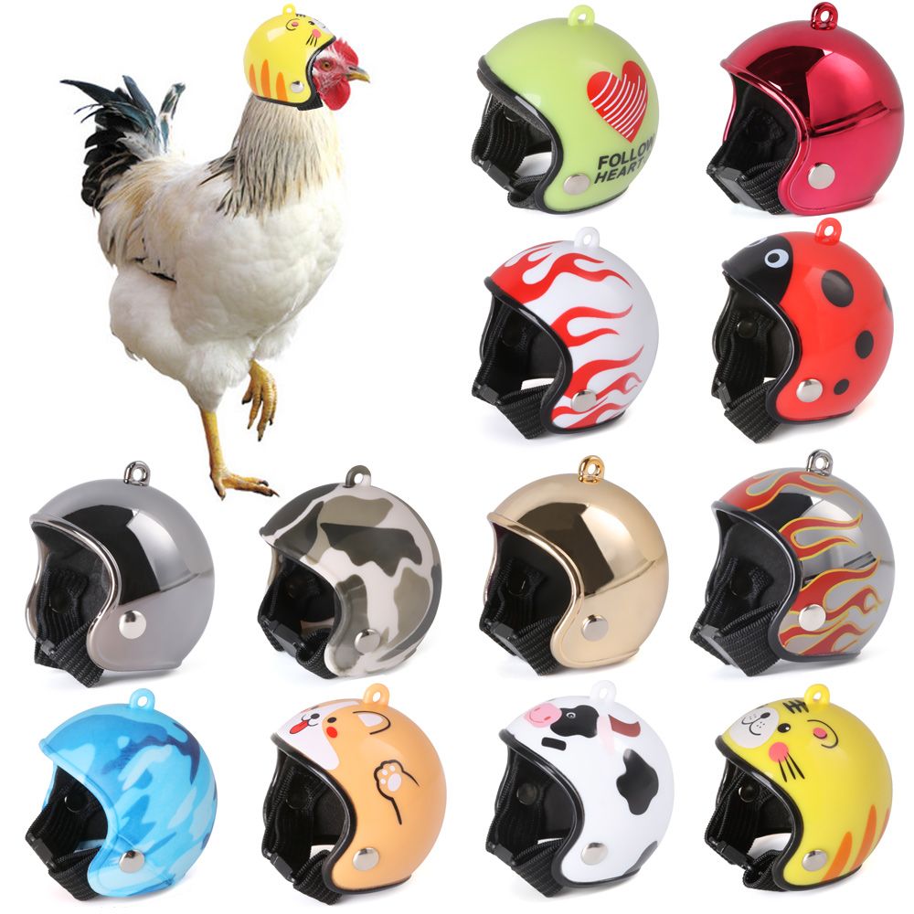 لوازم الحيوانات الأليفة من ABS - مراجعة Pet X Supplies & Tack Photos وسعره
