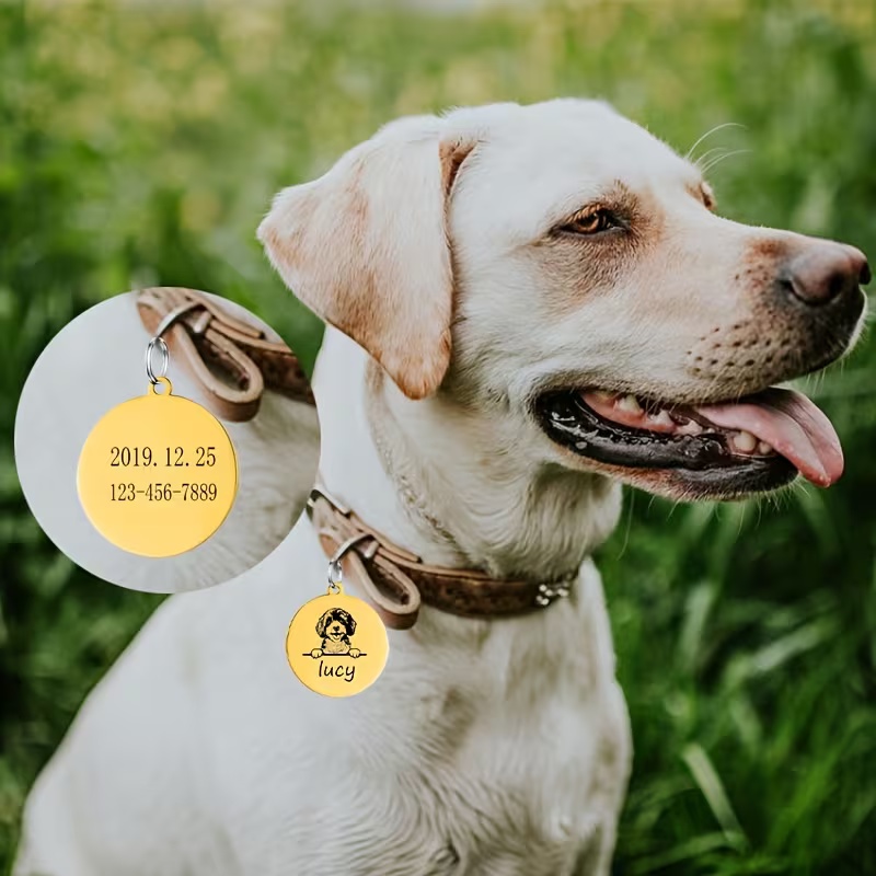 أطواق مخصصة مضادة للضياع للحيو - مراجعة Pet Supplies Discount وسعره