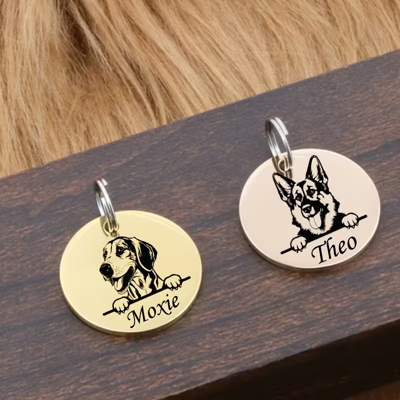 أطواق مخصصة مضادة للضياع للحيو - مراجعة Pet Supplies Discount وسعره