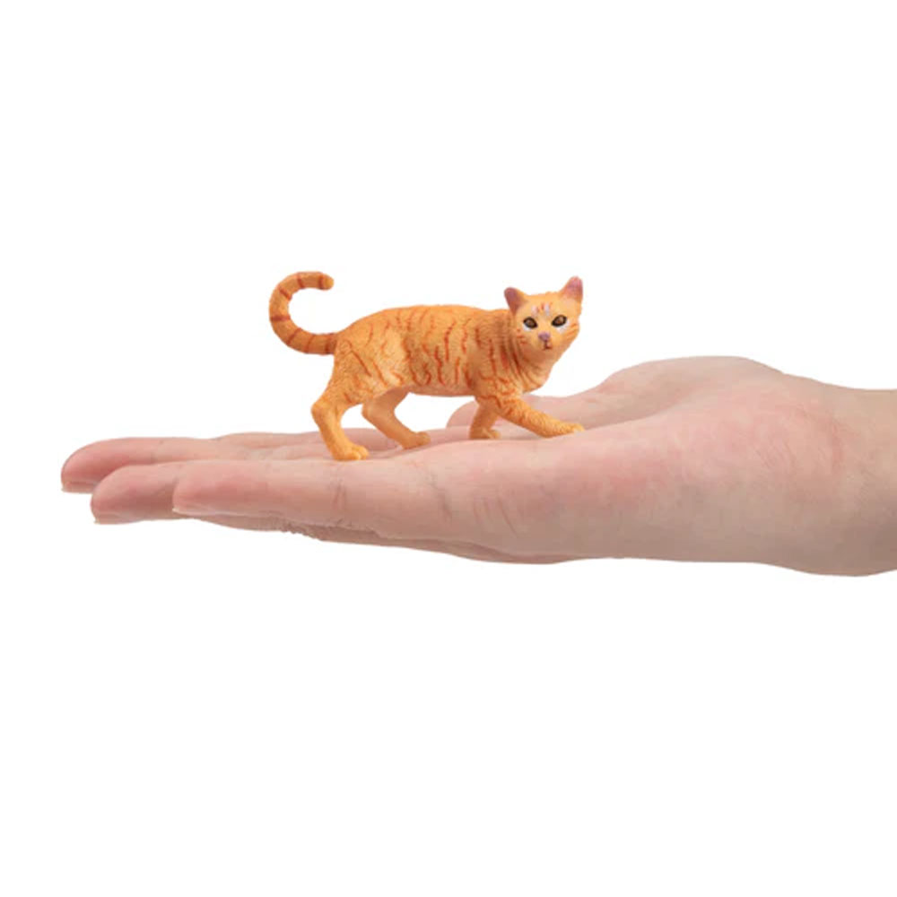 Toymany محاكاة تجول البرتقال ا - مراجعة Pet Supplies Delivery وسعره