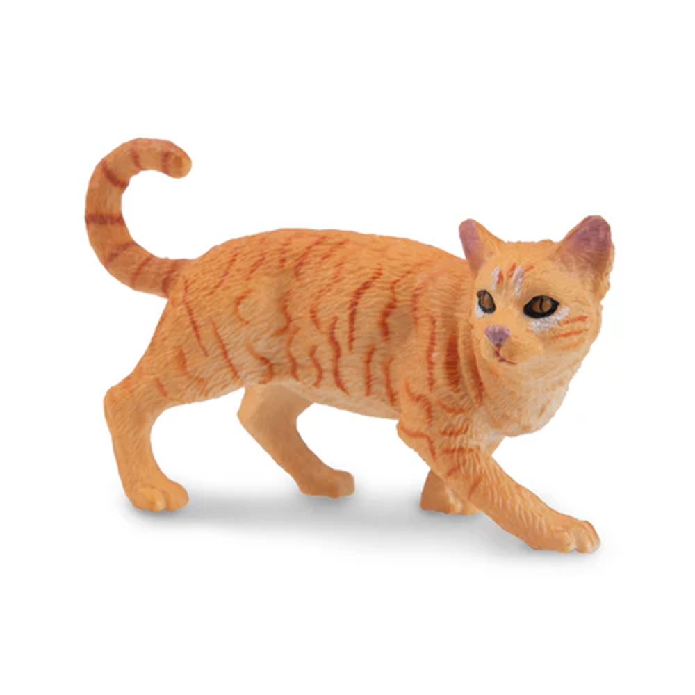 Toymany محاكاة تجول البرتقال ا - مراجعة Pet Supplies Delivery وسعره