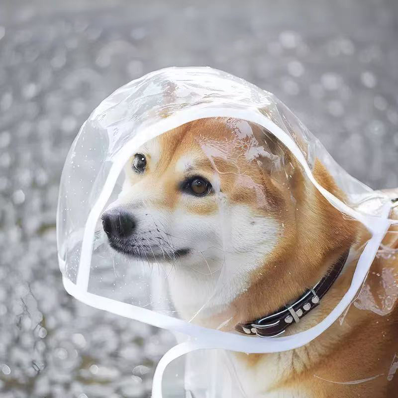 معطف واق من المطر للحيوانات ال - مراجعة Dog Raincoat وسعره