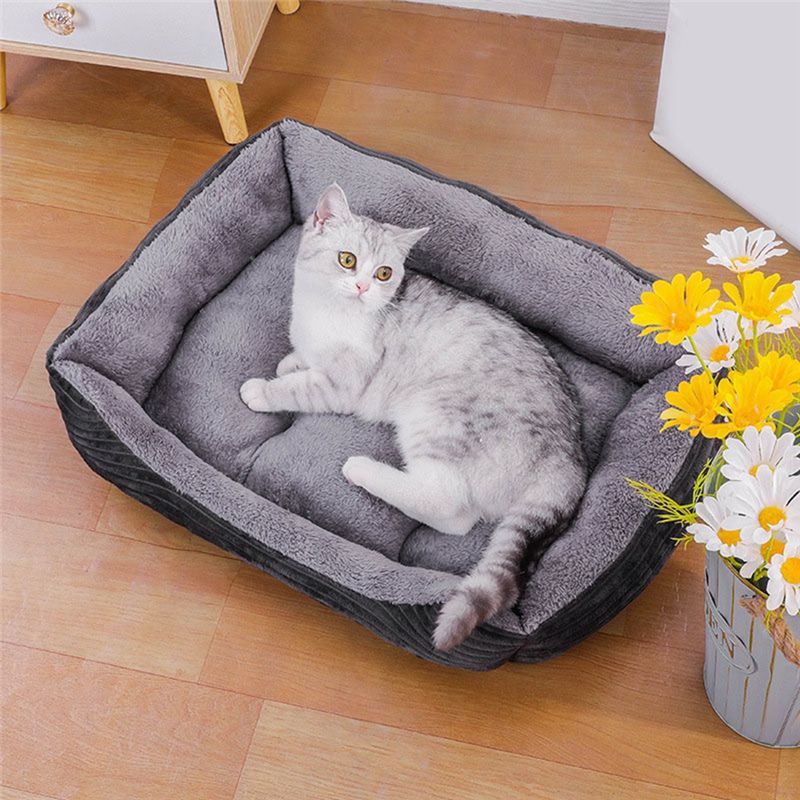 سرير كلاب رمادي AEA9، فراش مرب - مراجعة Pet X Supplies & Tack Photos وسعره