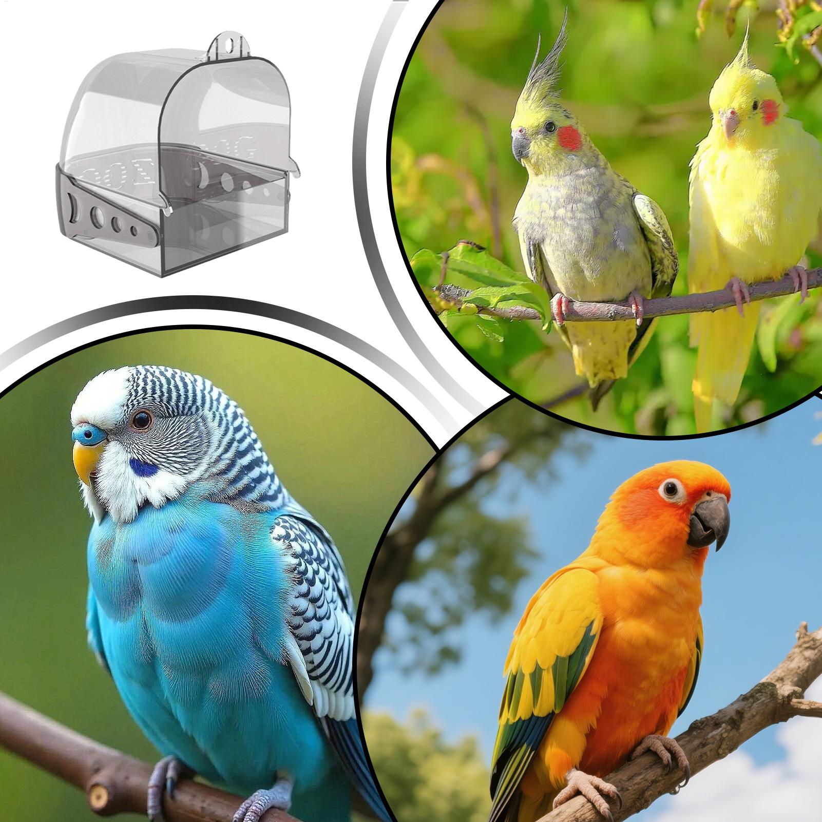 حوض استحمام للطيور قابل للفصل  - مراجعة Bird Cage Parrot وسعره