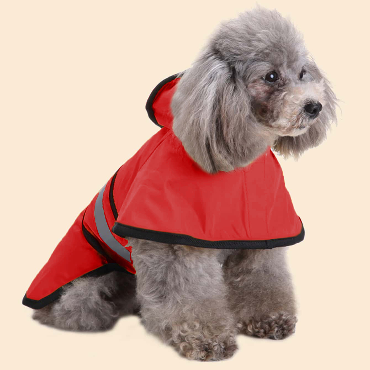 الربيع الصيف للماء عاكسة صغيرة - مراجعة Dog Raincoat وسعره